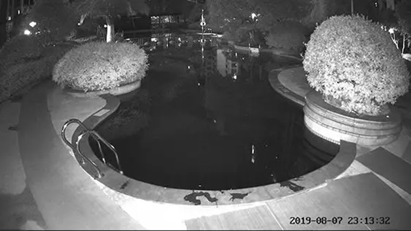 螢石智能鎖“全彩家族”攝像機就位：黑夜全彩時代來臨