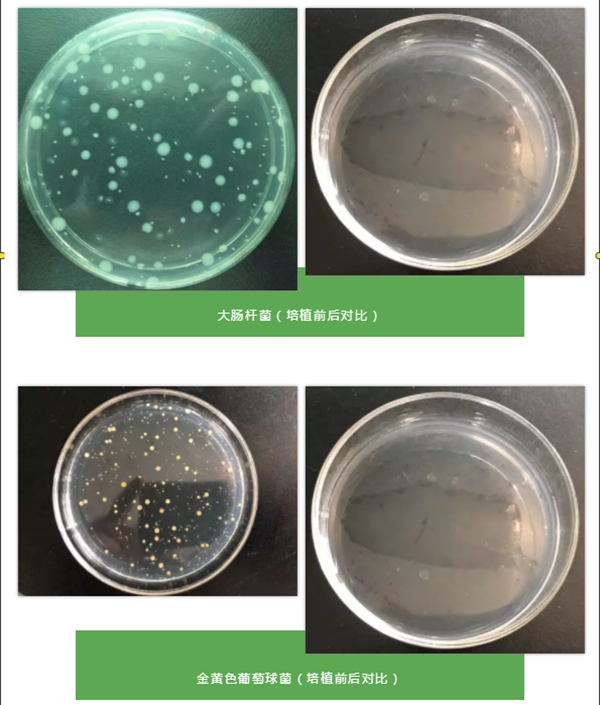 雅潔抗菌智能鎖進(jìn)行跨界合作 共建抗菌實(shí)驗(yàn)室