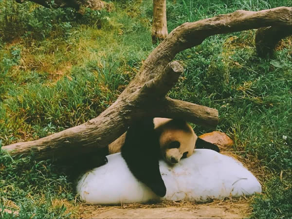 科裕集團年度旅游 快樂出游砥礪前行