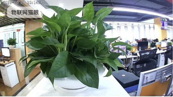 斑點貓智能鎖：高性價比貓眼的正確打開方式