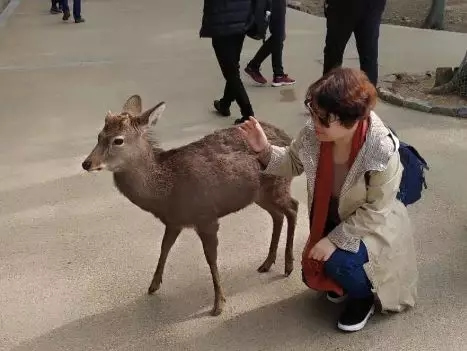 美菱公司2018年度先進(jìn)個(gè)人日本之旅圓滿結(jié)束