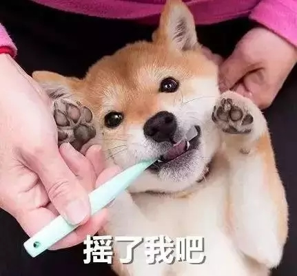 中控智能鎖告訴你擁有哪些智能家居產品能提高家居幸福感