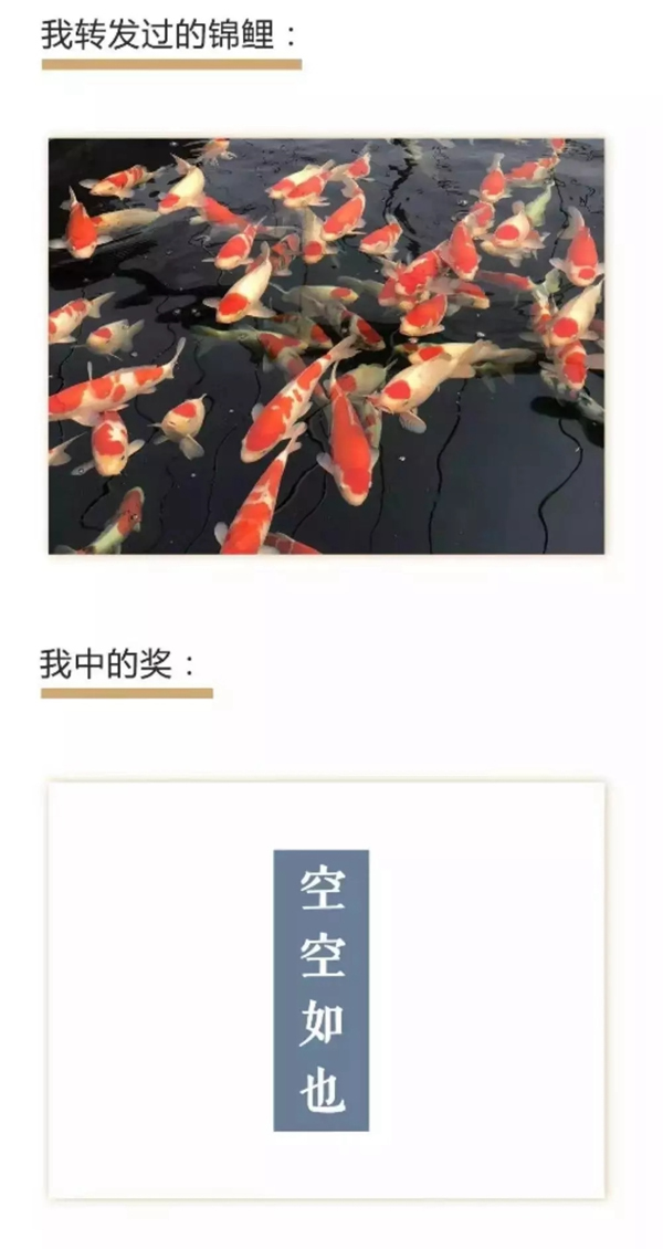 王力智能鎖第四季分享贏好禮活動結束，一大批錦鯉已出現！