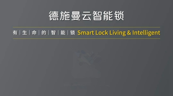 德施曼小嘀云智能鎖與權(quán)威專家一起規(guī)范門鎖行業(yè)安全標(biāo)準(zhǔn)