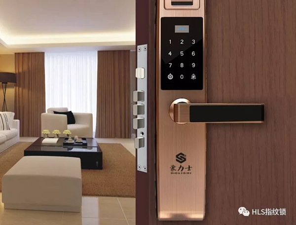 豪力士智能指紋鎖新品來襲：智能指紋密碼鎖D8202F