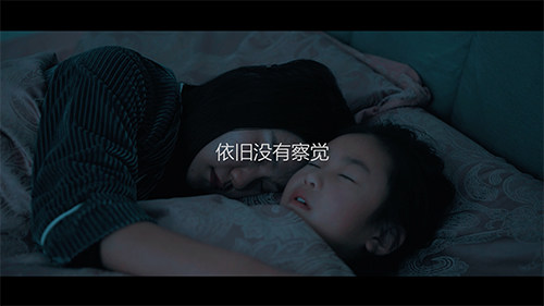 手機門鎖關鍵時刻保平安 德犬帶給你向往的安全生活! 手機門鎖關鍵時刻保平安 德犬帶給你向往的安全生活!