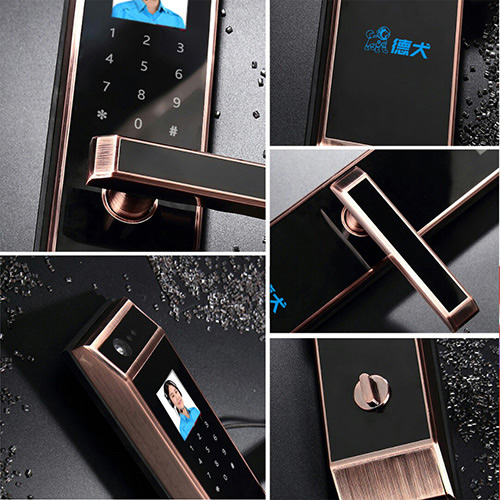 F1人臉掌紋智能鎖 德犬智能鎖 人臉識別掌紋識別密碼鎖