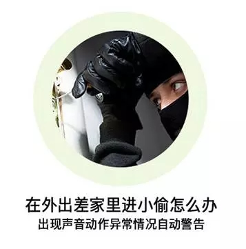 看家看娃看老人 2016最好用的德犬智能攝像頭！