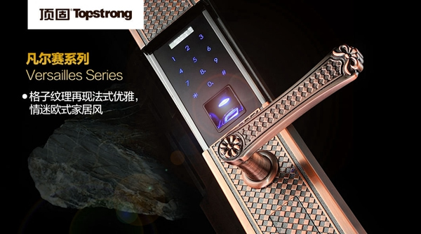 智定江山，勇奪黃金席位——2015年頂固智能五金招商峰會