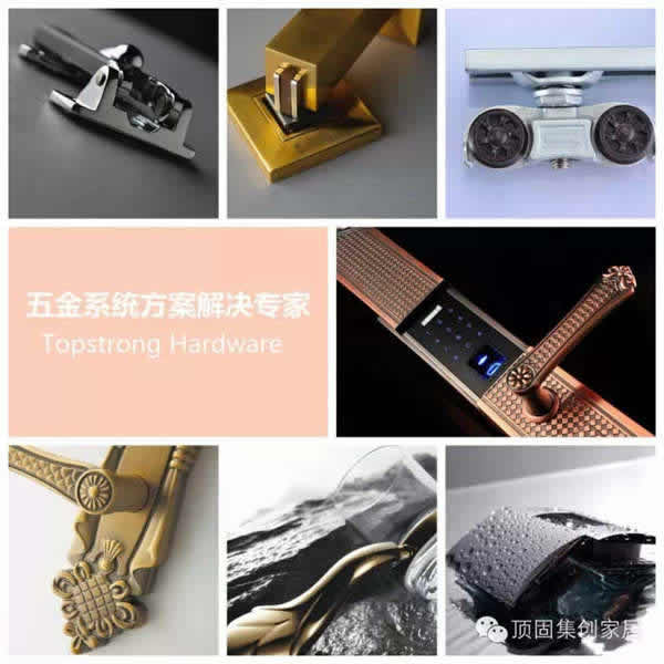 頂固中南戰略合作，強強聯合共創輝煌