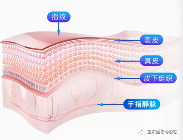 璽爾盾指靜脈鎖告訴您給老年人購買智能鎖需要注意什么