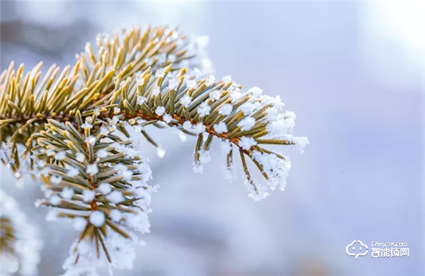一到冬天，你家智能鎖就識別不靈敏？解決方法在這里！