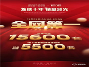 德施曼智能鎖雙12大賣