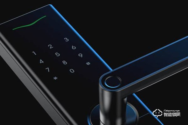 麗水德施曼智能鎖加盟