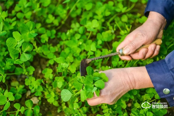 超常鎖業 | 疫情反復，提升家庭安全，方便你我生活
