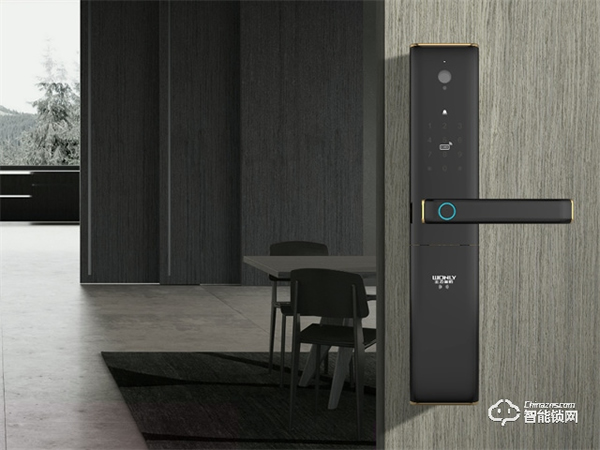 王力智能門鎖丨買智能鎖不做選擇題，安全、便捷全都要