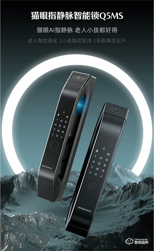 德施曼智能鎖|智能鎖購買攻略來嘍 ~ 雙十一預(yù)售第一波,課代表搶先劇透! 德施曼智能鎖|智能鎖購買攻略來嘍 ~ 雙十一預(yù)售第一波,課代表搶先劇透!