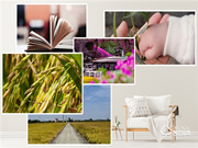 Gleewell格里維爾｜你發現了嗎？所有治愈的美好，都藏在生活的細節里