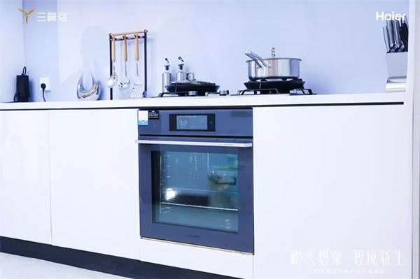 海爾廚電：中國首個超千萬臺的品牌