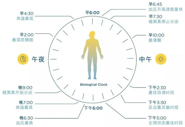 光線與晝夜節(jié)律 | 科學(xué)打造健康生物鐘的照明環(huán)境 光線與晝夜節(jié)律 | 科學(xué)打造健康生物鐘的照明環(huán)境