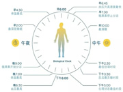 光線與晝夜節(jié)律 | 科學(xué)打造健康生物鐘的照明環(huán)境