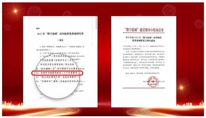 1.6萬盞，40余主次干道 | 順舟智能點亮“大豐區”綠色照明