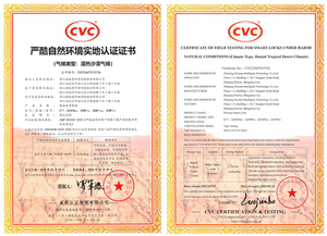 權(quán)威認(rèn)證！德施曼智能鎖斬獲迪拜極端環(huán)境認(rèn)證